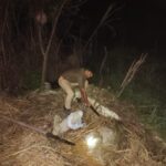 अवैध कच्ची शराब कार्रवाई